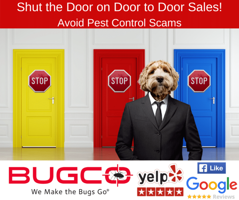 Just Say No! Avoid Door to Door Pest Control Scams BUGCO® Pest Control