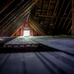 How to Control Rats & Mice in The Attic