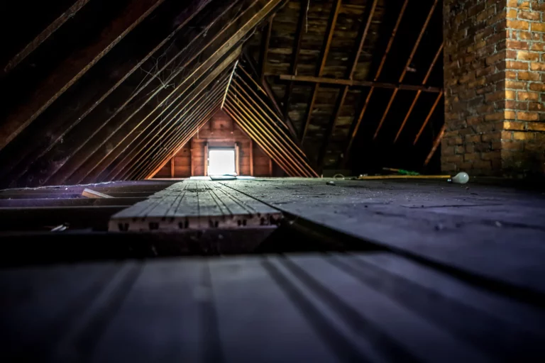 Dirty Attic