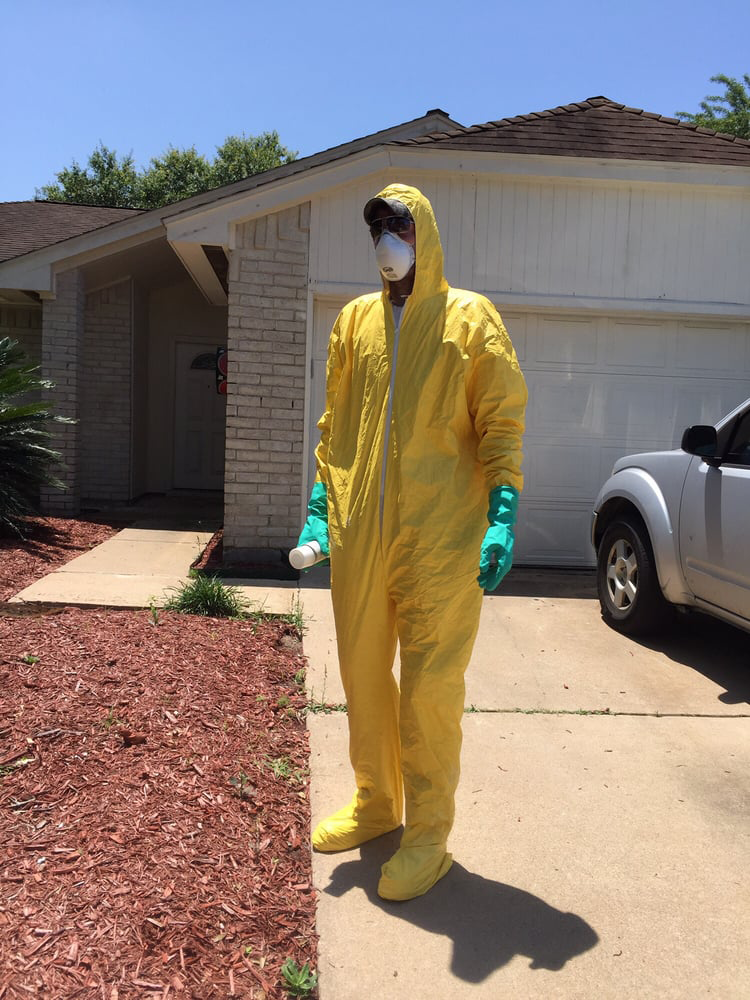 Pest Control in Pearland