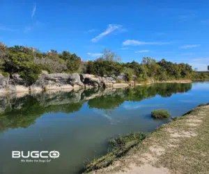 blue_hole_park_georgetown_texas_bugco_pest_control