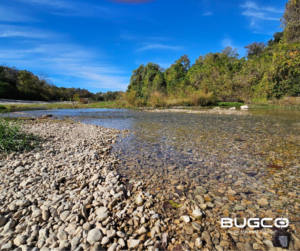 blue_hole_park_georgetown_texas_bugco_pest_control_3