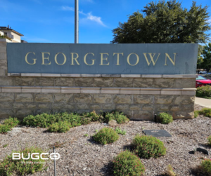 downtown_georgetown_texas_bugco_pest_control_2